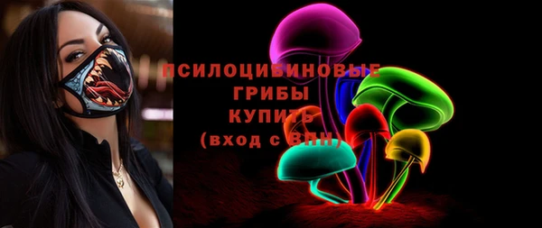 эйфоретик Алзамай