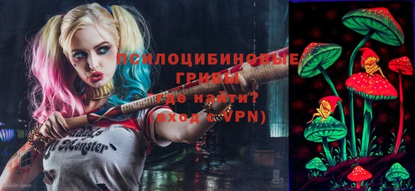 ГАЛЛЮЦИНОГЕННЫЕ ГРИБЫ Абдулино