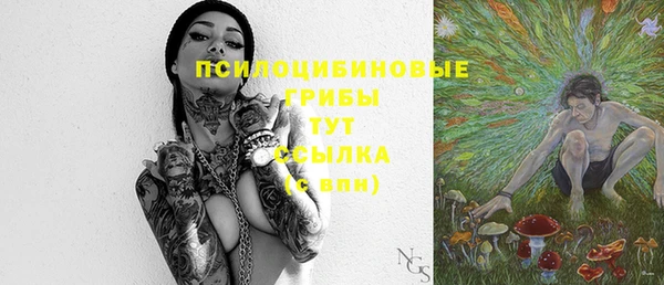 ГАЛЛЮЦИНОГЕННЫЕ ГРИБЫ Абдулино